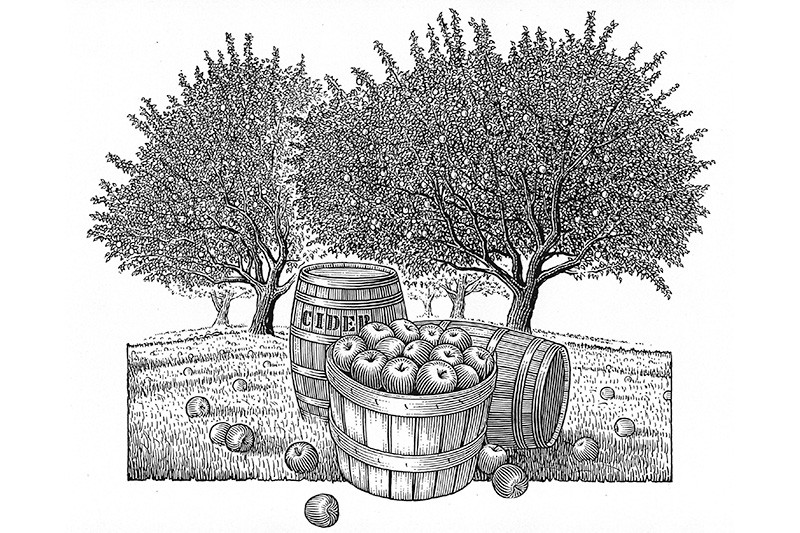 001_AppleOrchard